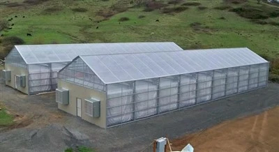Greenhouse with Blackout System Greenhouse with Blackout System