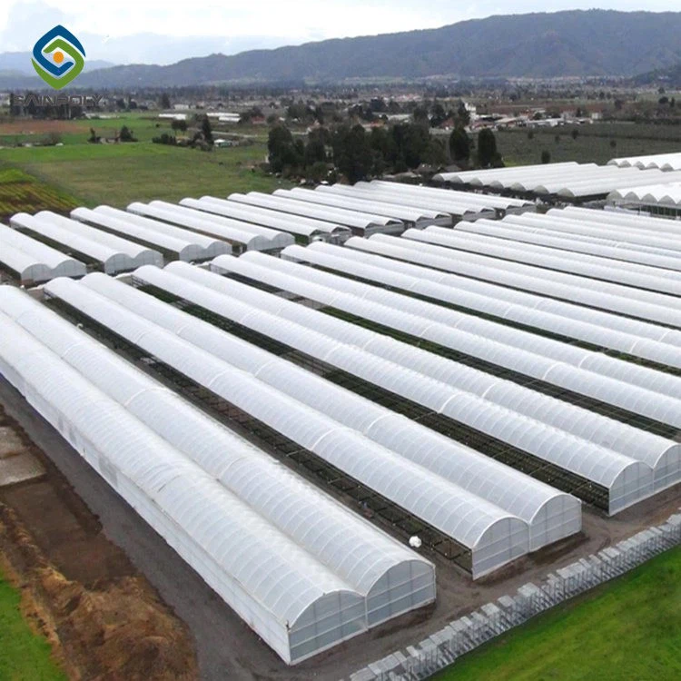Clear Plastic Sheets Greenhouse