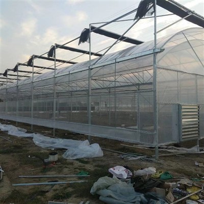 200 mikronos UV műanyag fólia üvegház