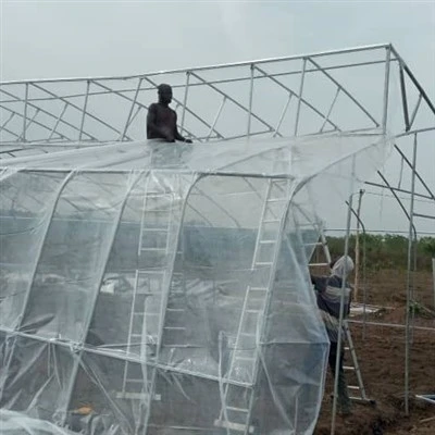 Poly Tunnel üvegház