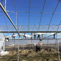 UV-védett műanyag fólia üvegház